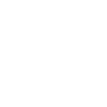 IFSE logo